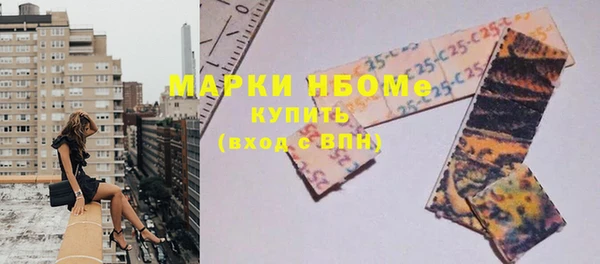 ешки Инта