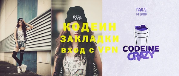 индика Иннополис