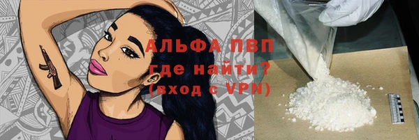 скорость Каменногорск