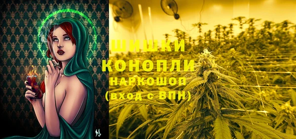 индика Иннополис