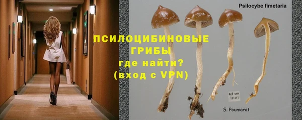 ешки Инта