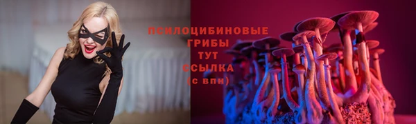 скорость mdpv Каменка