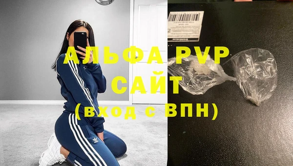 индика Иннополис