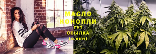 ешки Инта