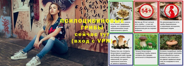 индика Иннополис