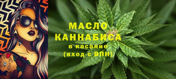 индика Иннополис