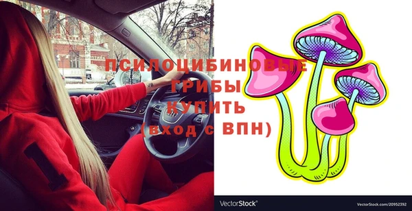 индика Иннополис