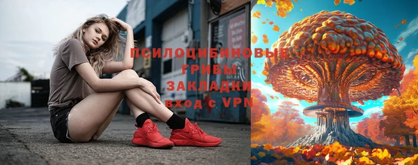 ешки Инта