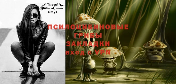 ешки Инта