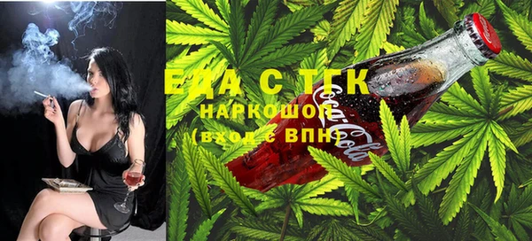 индика Иннополис