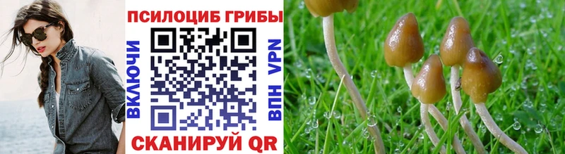 Псилоцибиновые грибы прущие грибы  Купить  Гурьевск 